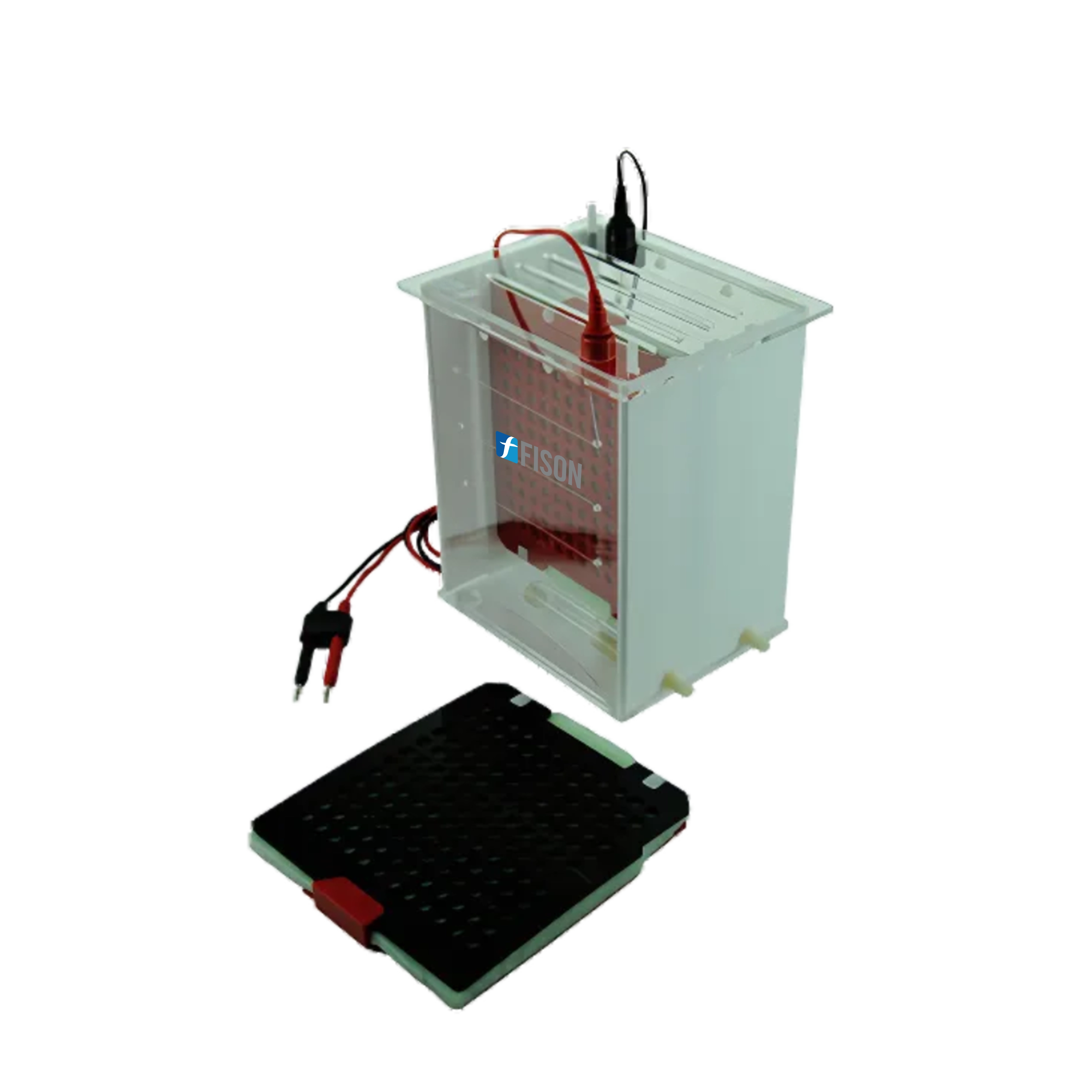 Tank Transfer Protein Blotting System