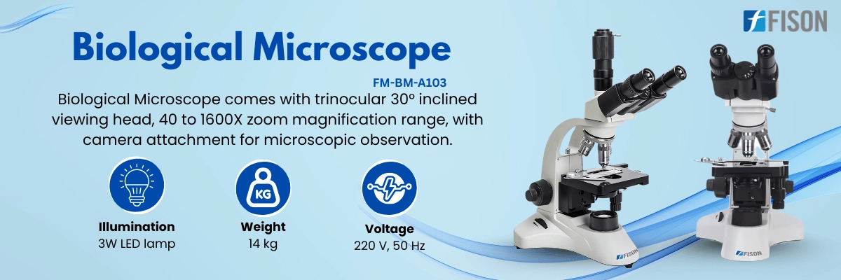 Biological Microscope FM-BM-A103